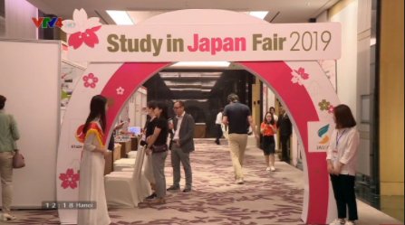 Các hoạt động chính